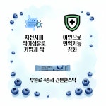 인셀덤 딥톡스 딥톡플러스 프로모션 330g, 1개 : 주식회사 뉴트리사나