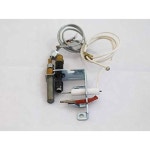 IHP OEM FMI ODS 파일럿 어셈블리 - NG (J4806) 오리지널 부품 : 내현컴퍼니