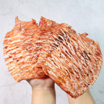 [더주]휴게소 철판구이 몸통 오징어 100g(5-8미) 외 : 더주