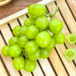 농가살리기 가정용 경북 햇 샤인머스켓 총 2kg : 농가살리기