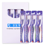 클린큐 금이온 금첨가 이중모 칫솔 20개 약국판매용 : 땡처리365