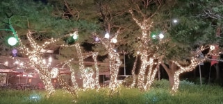 주식회사비엔인더스트리 | LED 76구X5조(380구) : 주식회사비엔