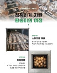 참송이버섯 산지직송 당일수확 버섯 가정용 500g 1kg : 팜윈드