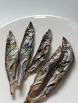 칼슘 열빙어(40g) : 멍냥디저트