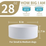 소형 중형 품종을 위한 애드고 화이트 고가/증강 도그볼 세라믹, 스탠드가 있는 도그 푸드 워터 볼, 3.6컵에 6개, 미끄럼 방지 중량 6 in Black... 