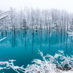 흰그림자투어 오리지널 투어  비에이 후라노 투어 스스키노 아침 9시 30분 출발 : 흰그림자투어 주식회사