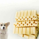 이안 첼시 닥터 덴탈케어 칼슘 100g 강아지 간식 개껌 강아지껌 : 이안추천