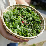 비움밭 마음정화 스머지 허브스틱 만들기 클래스 치유 체험 : 가치가야