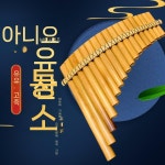 남미 악기 펜플룻 대나무 연주 피리 초보 22관 g1 크로매틱 삼포냐 팬플룻 팬플루트 : 4년의고수
