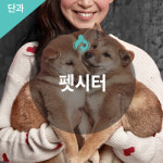 펫시터 자격과정 : 한국반려동물아카데미