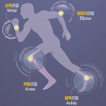 콘드레이친 1200 콘트로이친 영양제 무릎 관절 연골 약1개월 : 포원즈헬스