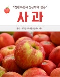 [수암종합시장] 꿀장터 사과 : 꿀장터