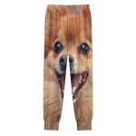 포메라니안 도그 남성 조거 스웨트 팬츠 라운지 운동 퀵 드라이 Small : 리븐스토어