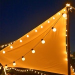 전구 led 오징어등 줄조명 01 투명 큰공 루프탑 라이트 : 꿀템모아픽