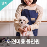 애견미용 올인원 취업 창업 자격과정 : 한국반려동물아카데미