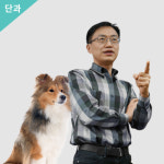 반려동물관리사 : 한국반려동물아카데미