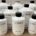 10l 액체질소통 정자보관 탱크 냉동 실험실 질소 액체 보관통 소형 인공수정 정자 실험용 : OUR컴퍼니