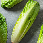 유러피안 샐러드 야채 버터헤드 로메인 모듬 쌈채소 산지직송 2kg : 봄날애푸드