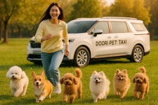 반려동물 이동서비스 : 두리펫택시