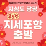 거제 지세포항 출발 지심도 여행 왕복승선권 도선 유람선 배편예약 동백꽃투어 : PANG PANG