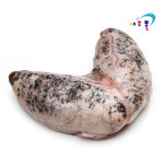 -60도 국내산 동해 대구알 대구곤 대구간(애) 500g : 새우몰