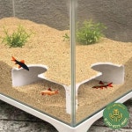 ABS 물고기 새우 동굴 쉼터 더블 홀 탱크 수족관 장식 액세서리 : 와이즈마켓01