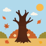 캐치하이 환경 구성 펠트 나무틀 5종 소 중 특대 3가지 사이즈 : 캐치 하이