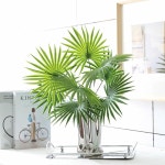유리에 1팩 열대 식물 인조 야자수 식물 장식용 20인치 잎 실내 플라스틱 테이블탑 중앙 : 씨유리테일