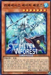 리제네시스세이지셰모스 (슈퍼 레어), ALIN-KR014 : 안성 하얀 숲 카드하우스