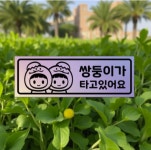 신생아가 타고 있어요 쌍둥이 신생아 임산부 아기 자동차 운전 스티커 : 만물가드