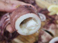 국내산 선동 오징어 1팩 1kg 내외 4~5미 통오징어 냉동 통찜, 볶음, 국거리용 : 행이마켓