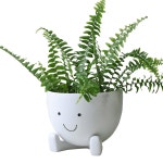 배수구 수지 화분 4인치를 사용하는 실내 식물 다육식물용 헤드 AIMBY : 씨유리테일