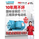 3상모터 380V 비동기 1400 전동기 3상 산업용 14축 구리 1 삼상 0 37KW4급 14축/1400회전 : pixelmk01