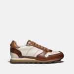 코치 G2375 C118 Low Top Sneaker 코치 스니커즈 : 뭉싸공구