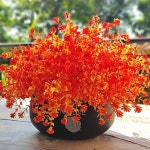 12 다발은 녹지 않는 자외선 저항성이 있는 외부 엄마들을 마주합니다 페이딩 인조 관목 홈 가든 현관 파티오 장식 사무소 추수감사절 : 마사엘로