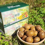 국내산 참다래 레드 그린 광양 골드 키위 : 라라네농장