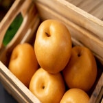 [늘푸른뜰] 프리미엄 고당도 나주 신고배 1kg (햇배) 선물 : 늘푸른뜰제철과일농수축산