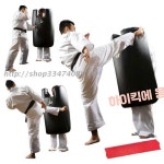 미트 전신 방패 태권도 체육관 무에타이 격투기 스탠다드모델 : 오터치