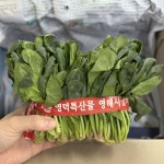 시금치1단 나물 포항 노지 영해초 : 율이네식탁