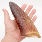 개아범 소뿔 개껌 2종 강아지수제간식 : 스마트이음