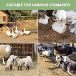 30인치에서 67인치까지 조절 가능한 스테인리스 스틸 긴 손잡이 를 거르는 삽 똥 스쿠퍼 닭똥 스쿠퍼 갈퀴 농장 동물 청소 도구 : 딜리고스토리