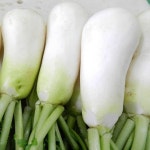 알타리절임 국내산 김장 깍두기 총각김치 절인 알타리무 18kg, 1개 : 류코네상점