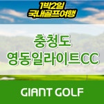 영동 일라이트cc 충청도골프 1박2일 : 자이언트골프 국내해외 예약