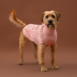 [알코워시] Blush Pink Aran Alpaca Dog Sweater : 피넛테일