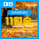 [대전- 6인] 11월 어린이 대전 숲체험 교실_은구비공원 : 모뽀리포레
