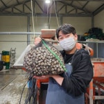 벌교꼬막 제철 남도 새꼬막 1kg 특상품 당일채취발송 : 율이네식탁