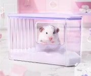 카르노 젤리 목욕실 : 와우펫앤쥬