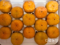 단감(22-29), 택배비 포함 : 다로농장