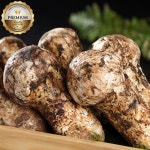 [자연산 프리미엄] 고품격 국내산 송이버섯 특등품 경북 산지직송 : 로라팜