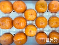 홍시 5 kg(31-35과), 택배비 포함 : 다로농장